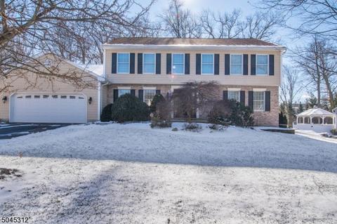 7 Bitola Dr, Wayne, NJ 07470 photo 1