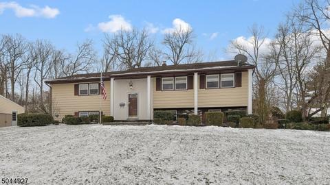 19 Brighton Ter, Wayne, NJ 07470 photo 1