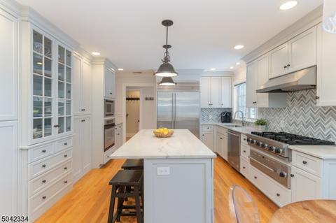 54 Rotary Dr, Summit, NJ 07901 photo 6