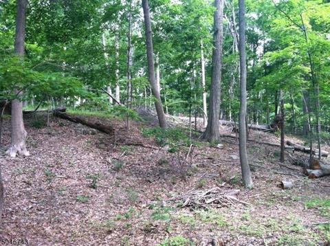 71 Long Rd, Bernards Twp., NJ 07920 photo 1