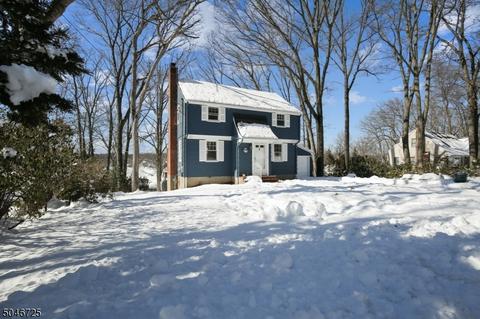 31 Spruce Ter, Wayne, NJ 07470 photo 1