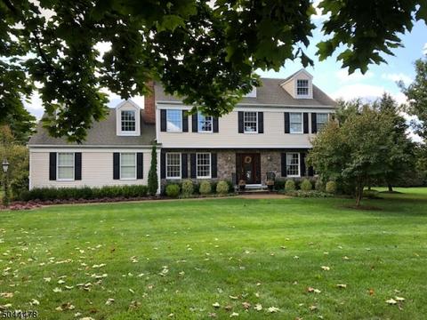 11 Pitney Ct, Basking Ridge, NJ 07920 photo 1