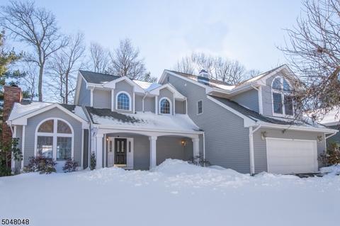 41 Gatehouse Rd, Bedminster, NJ 07921 photo 1