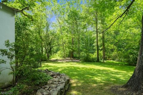 39 Roxiticus Rd, Mendham, NJ 07945 photo 19