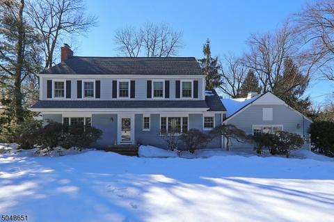 65 Pine Grove Ave, Summit, NJ 07901 photo 1