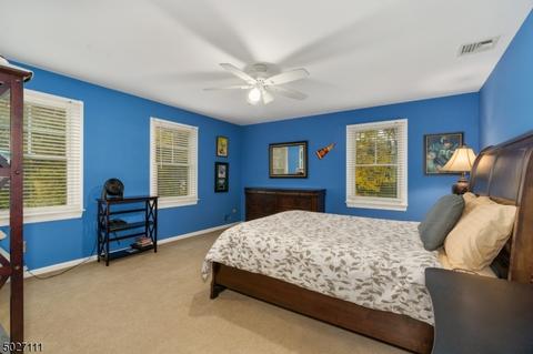 9 Partridge Run, Hampton, NJ 08827 photo 20