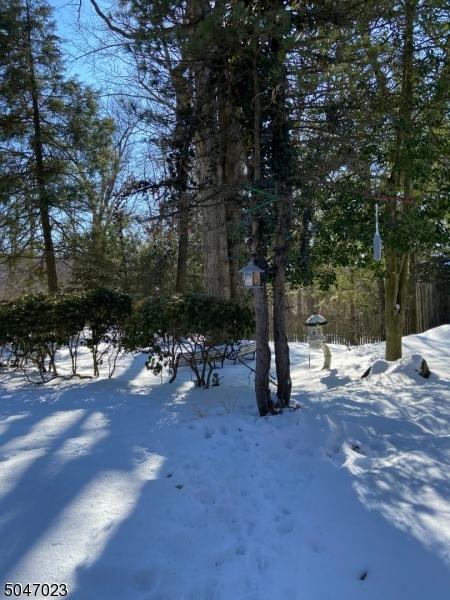 19 Ledge Rd, Wayne, NJ 07470 photo 10