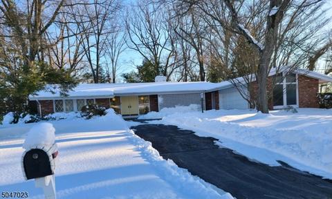 19 Ledge Rd, Wayne, NJ 07470 photo 1