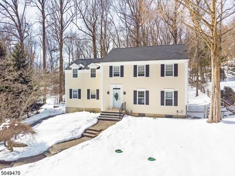 10 Carroll Dr, Mendham, NJ 07945 photo 1