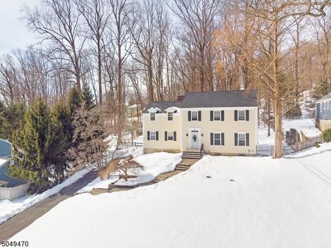 10 Carroll Dr, Mendham, NJ 07945 photo 21