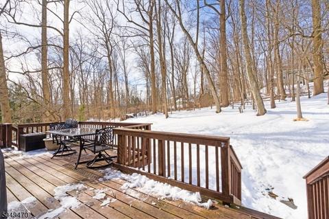 10 Carroll Dr, Mendham, NJ 07945 photo 17