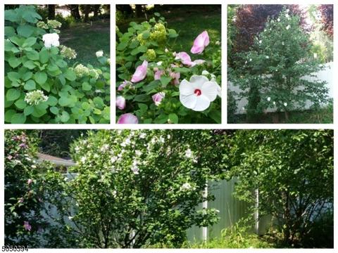 611 Schaefer Ave, Oradell, NJ 07649 photo 18