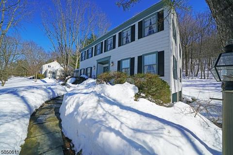64 Bald Eagle Rd, Hackettstown, NJ 07840 photo 1