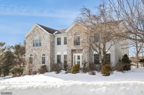 4 Fox Boro Rd, Wayne, NJ 07470 photo 1