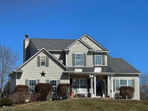 163 Bryans Rd, Hampton, NJ 08827 photo 1