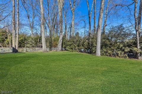 286 Summit Rd, Mountainside, NJ 07092 photo 17