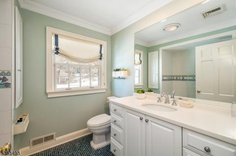 27 Silver Lake Dr, Summit, NJ 07901 photo 20