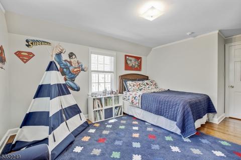 16 Colt Rd, Summit, NJ 07901 photo 19