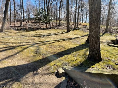 7 Iowa Rd, Wayne, NJ 07470 photo 5