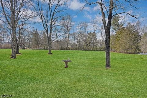 74 Fairview Dr E, Basking Ridge, NJ 07920 photo 20