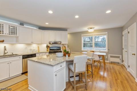 142 Haddon Pl, Montclair, NJ 07043 photo 10