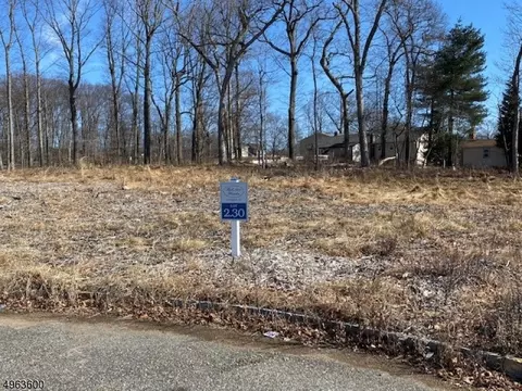 89 Force Hill Rd, Livingston, NJ 07039