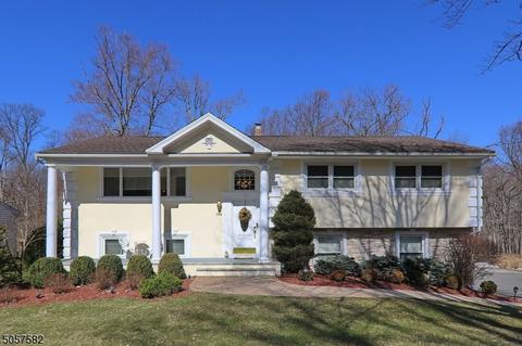 1104 Saddlebrook Rd, Mountainside, NJ 07092 photo 1