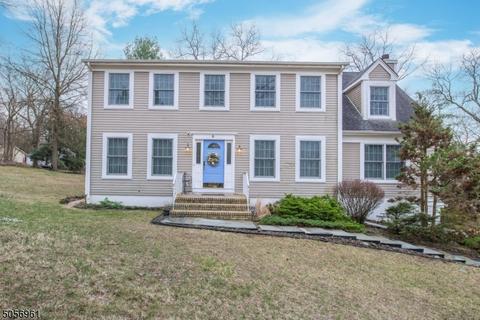 9 Karen Ct, Wayne, NJ 07470 photo 1