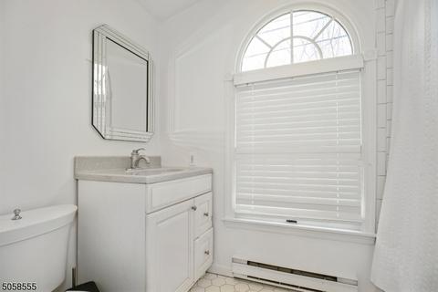 16 Roxiticus Rd, Mendham, NJ 07945 photo 11