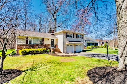 1088 Saddlebrook Rd, Mountainside, NJ 07092 photo 1
