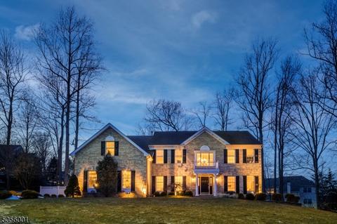 9 Devon Ct, Bernards Twp., NJ 07920 photo 1