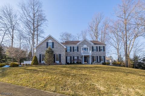 9 Devon Ct, Bernards Twp., NJ 07920 photo 2