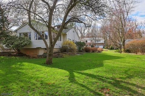 1461 Force Dr, Mountainside, NJ 07092 photo 23
