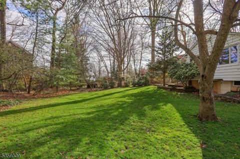 1461 Force Dr, Mountainside, NJ 07092 photo 22