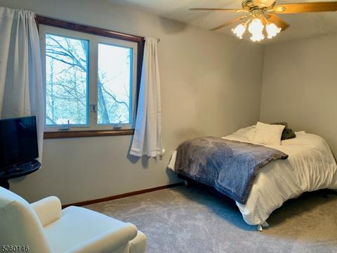 2 Catherine Ter, Byram Township, NJ 07821 photo 19