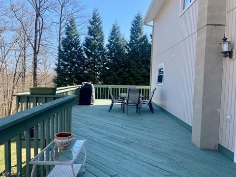 2 Catherine Ter, Byram Township, NJ 07821 photo 24