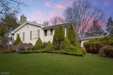 342 Central Ave, Mountainside, NJ 07092 photo 1