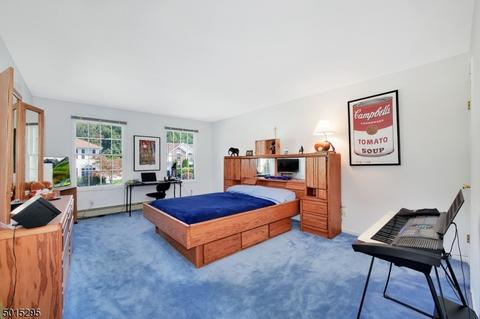 14 Dudley Ct, Wayne, NJ 07470 photo 12