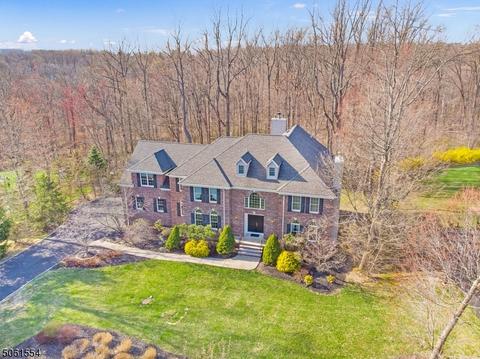 19 Shadowbrook Way, Mendham, NJ 07945 photo 1