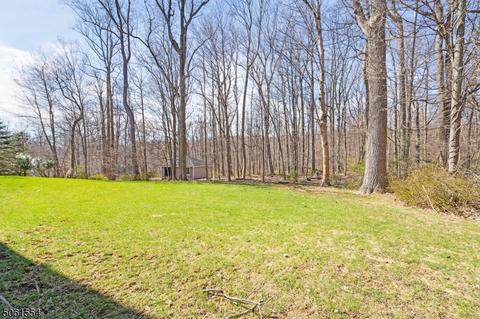 19 Shadowbrook Way, Mendham, NJ 07945 photo 4