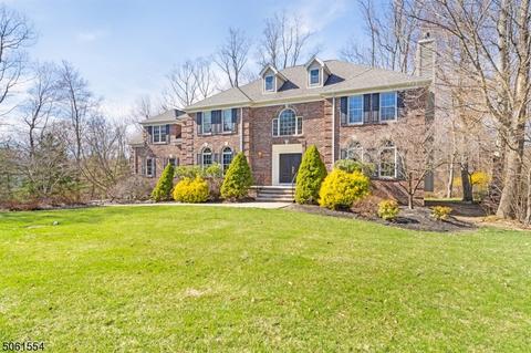19 Shadowbrook Way, Mendham, NJ 07945 photo 2