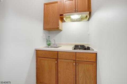 14 Hughes Pl, Summit, NJ 07901 photo 16