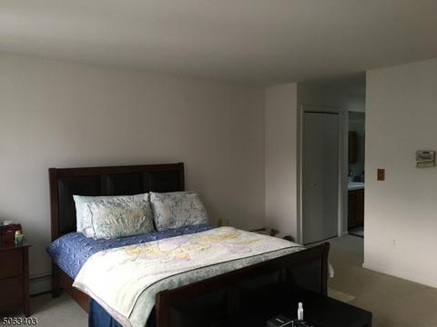 53 Victory Ct, Dover, NJ 07801 photo 11
