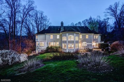 15 Leddell Rd, Mendham, NJ 07945 photo 23