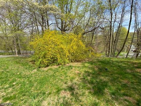 68 Brookside Rd, Randolph, NJ 07869 photo 17