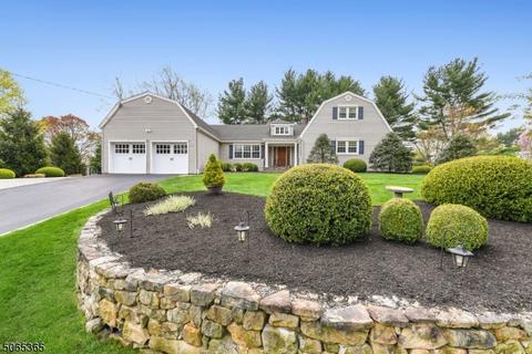 8 Leddell Rd, Mendham, NJ 07945 photo 1