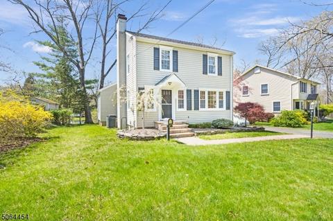 6 Aster Ter, Mendham, NJ 07945 photo 3