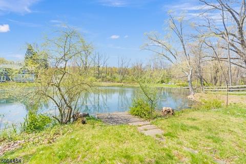 6 Aster Ter, Mendham, NJ 07945 photo 25
