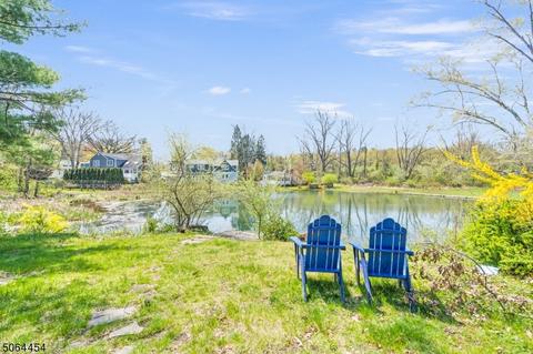 6 Aster Ter, Mendham, NJ 07945 photo 24