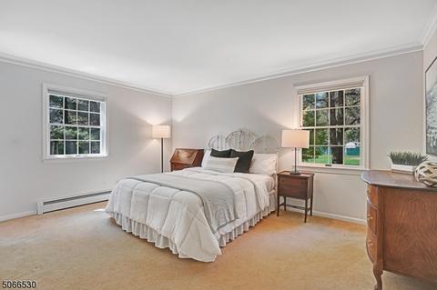 9 Neskell Dr, Basking Ridge, NJ 07920 photo 13